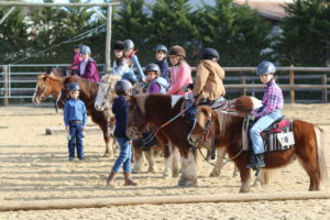 Cours poney western centre équestre Pension cheval 
