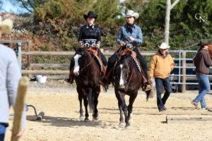Cours d’équitation western pension cheval Gard ales nimes